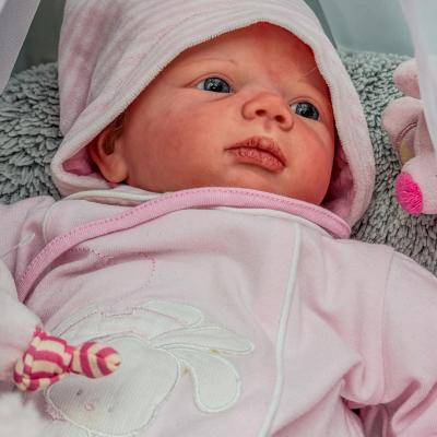 Wien Teddybaeren Puppen Miniaturen Boerse 2024 14 Von 100