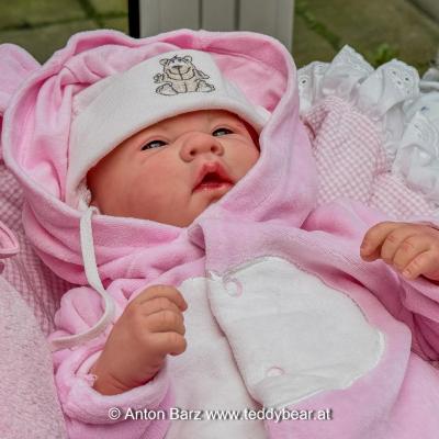 Wien Teddybaeren Puppen Miniaturen Boerse 2024 15 Von 100